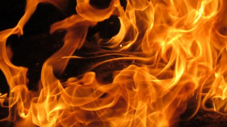 Снимка БГНЕС