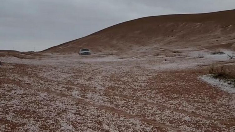 Снимка: Twitter