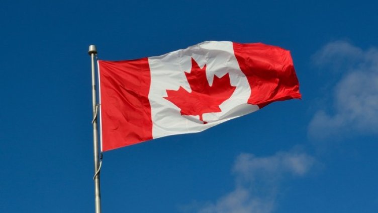 Снимка: Pixabay