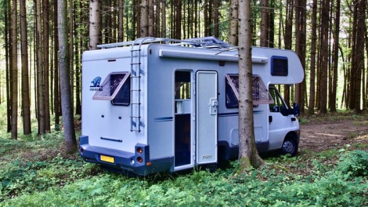 Снимка: Pixabay