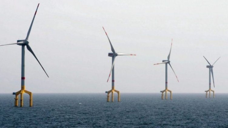 Снимка БГНЕС