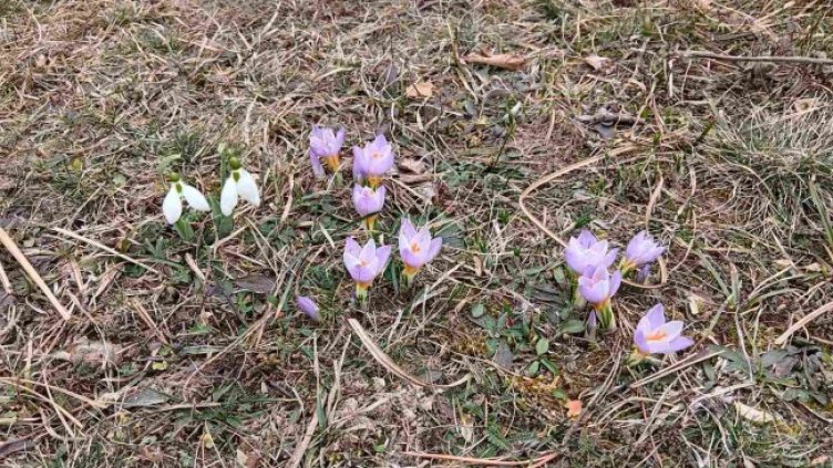 Снимка: Dnes.bg