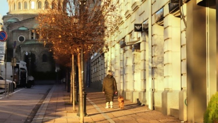 Снимка: БГНЕС