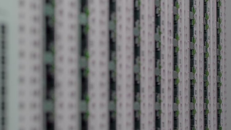 Снимка: Pixabay