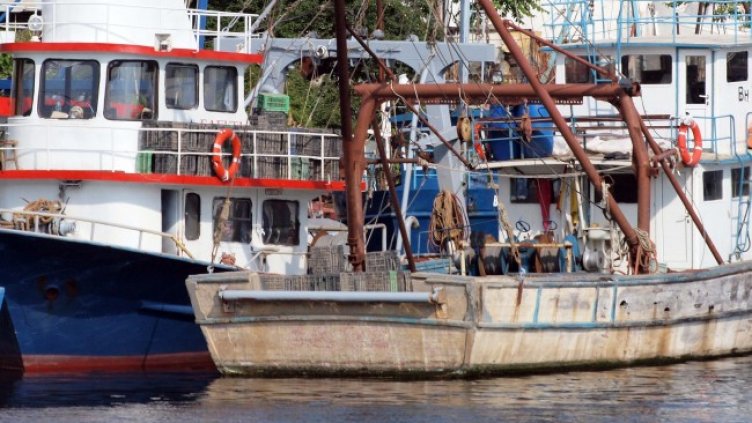 Снимка: БГНЕС, архив