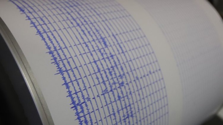 Снимка: архив, БГНЕС