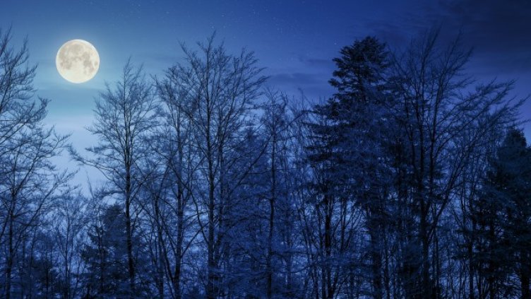 Снимка: iStock