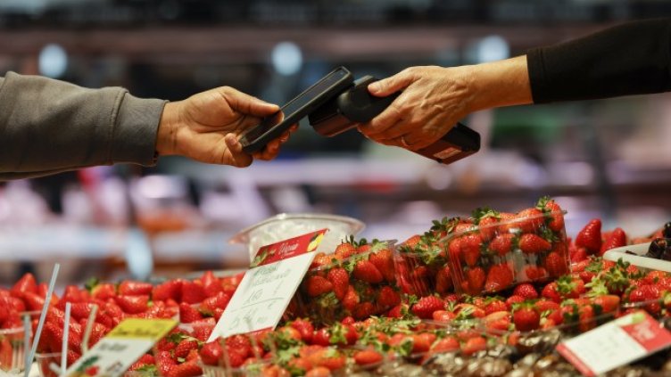 Снимка: архив, БГНЕС