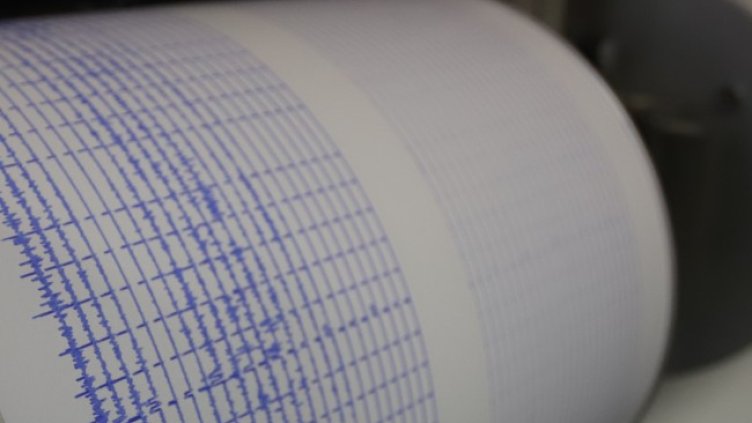 Снимка: архив, БГНЕС