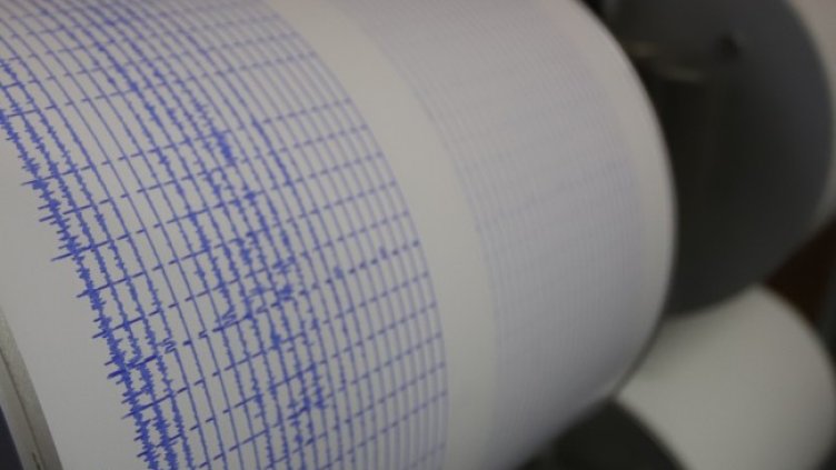 Снимка: архив, БГНЕС