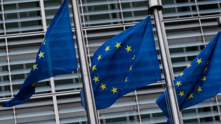 Снимка: архив, БГНЕС