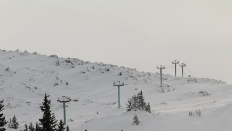 Снимка: архив, БГНЕС