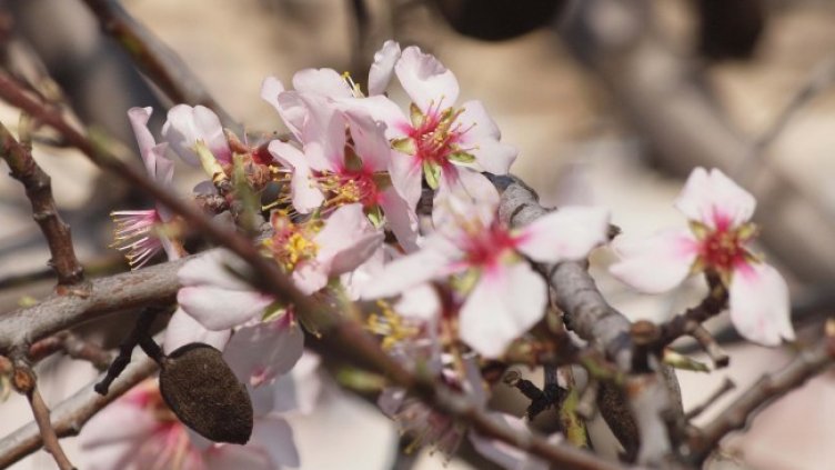 Снимка: архив, БГНЕС