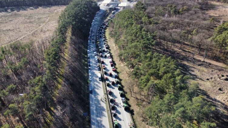 Снимка: архив, БГНЕС