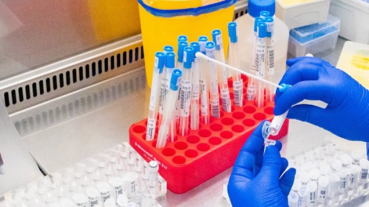 Снимка: архив, БГНЕС