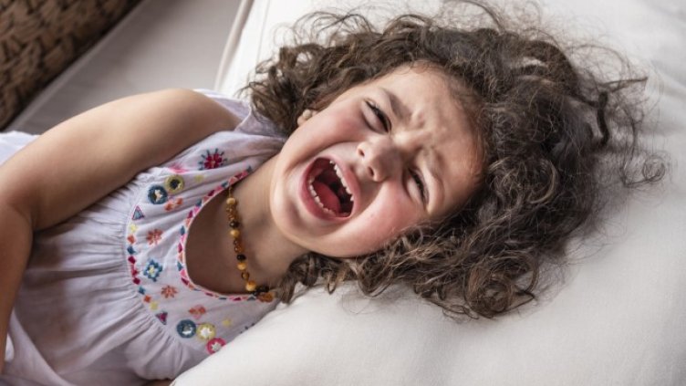 Снимка: Istock