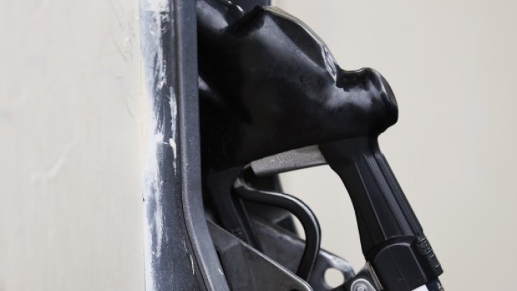 Снимка: архив, БГНЕС