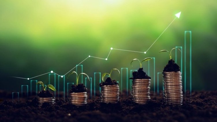 Снимка: elements.envato.com