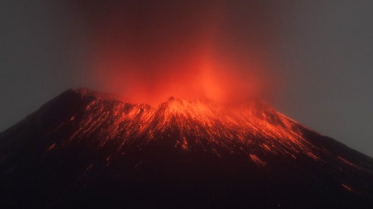 Снимка: архив, БГНЕС