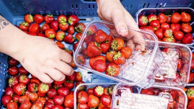 Снимка: архив, БГНЕС