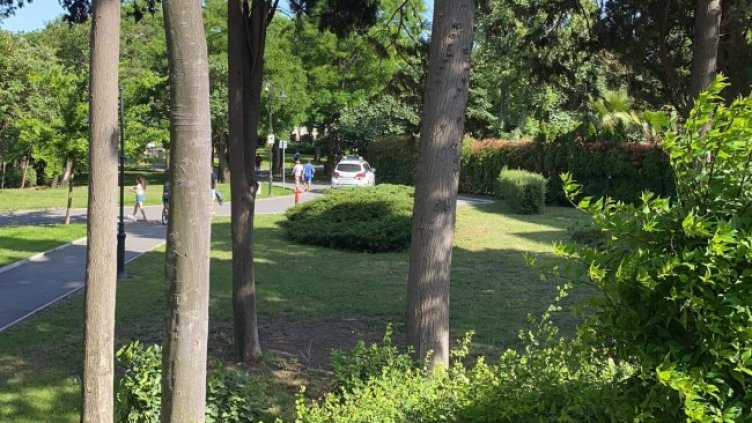 Снимка БГНЕС, архив