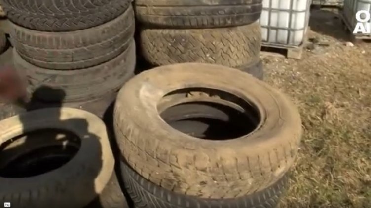 Снимка: Bulgaria ON AIR