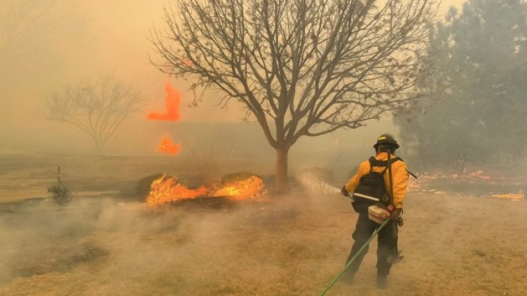 Снимка: архив, БГНЕС