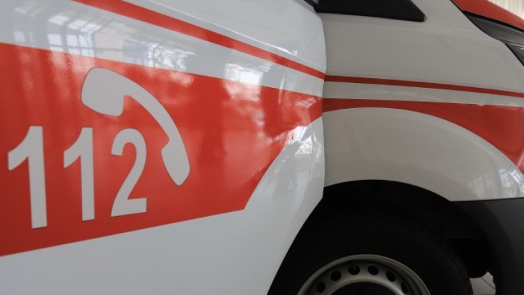 Снимка: архив, БГНЕС