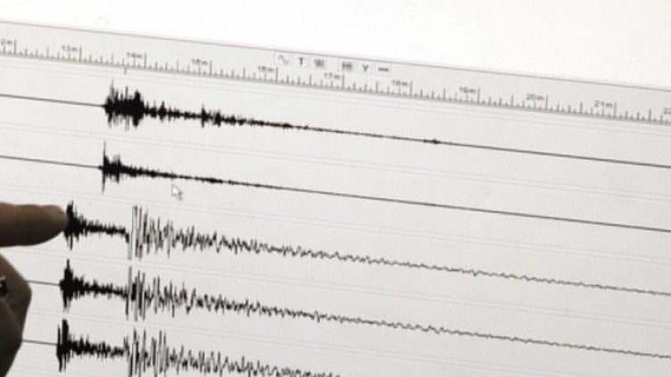 Снимка: архив, БГНЕС