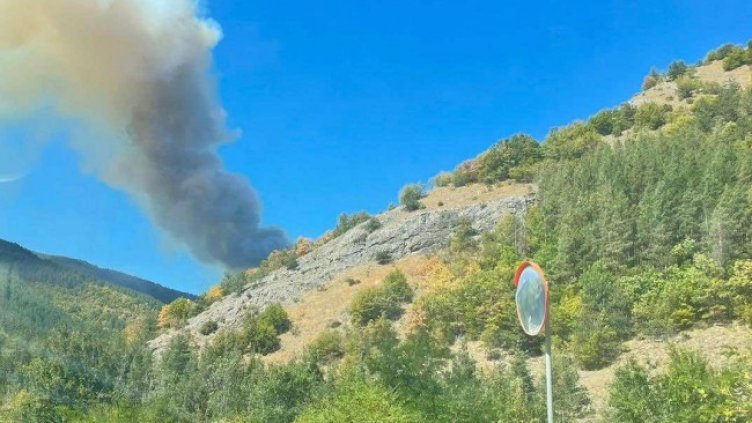 Снимка: БГНЕС