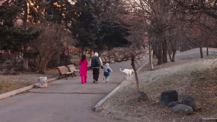 Снимка: БГНЕС