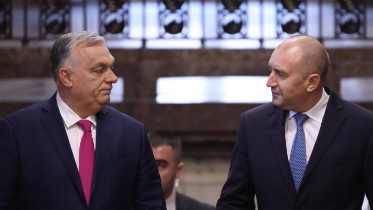 Снимка: БГНЕС