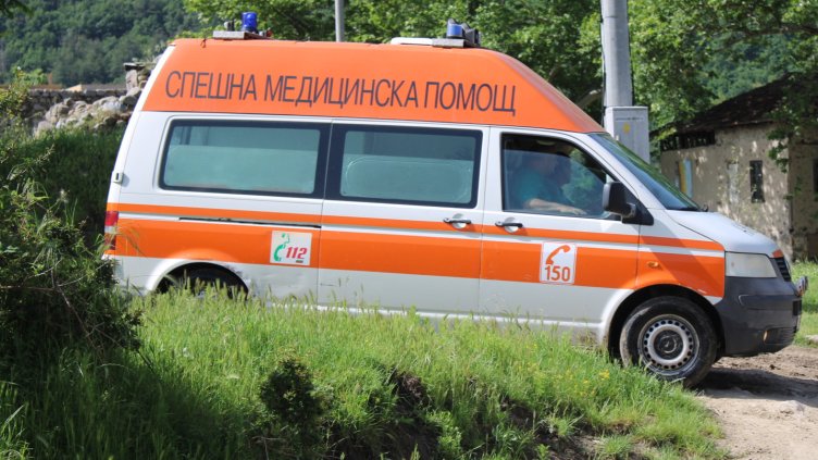 Снимка: архив, БГНЕС