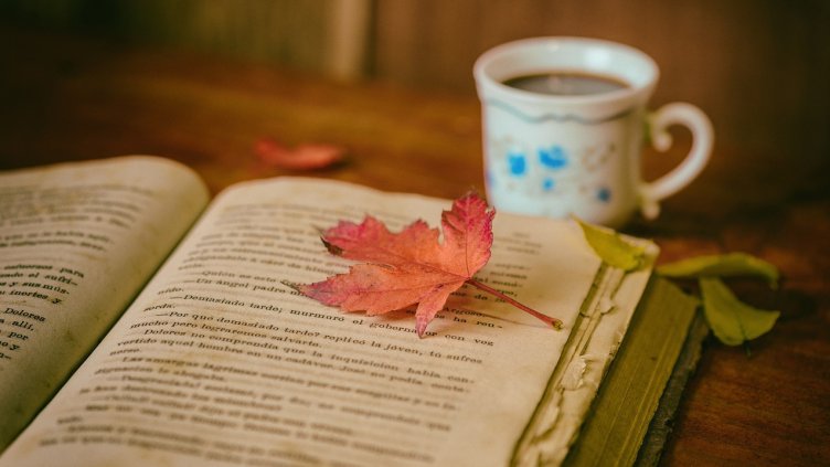 Снимка: Pixabay/josealbafotos