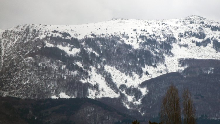 БГНЕС, архив