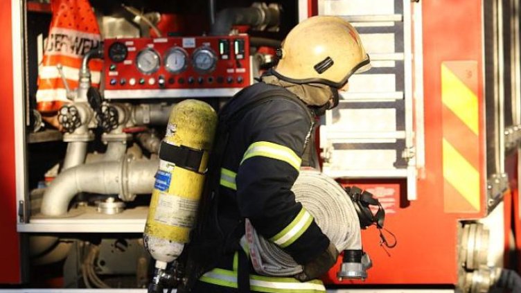 БГНЕС, архив