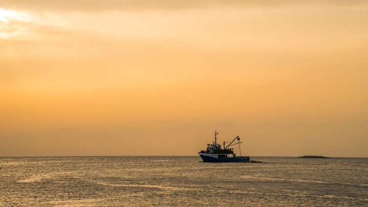 Снимка: Pixabay/ Leonhard_Niederwimmer