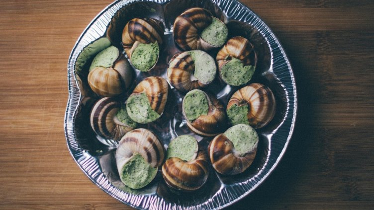 Снимка: Pixabay/StockSnap