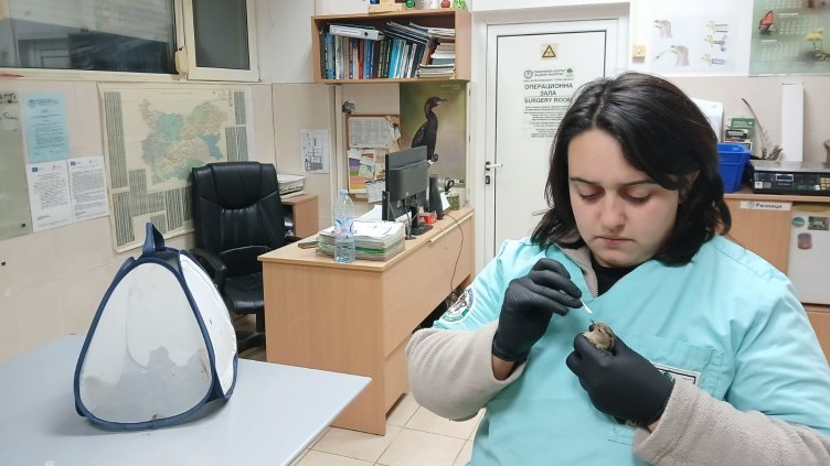 Снимка: Facebook/Зелени Балкани