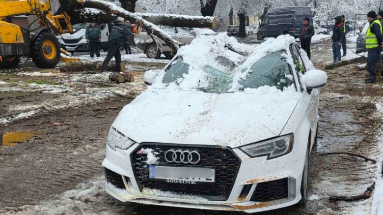 Снимка: Антоанета Андреева, БНТ 