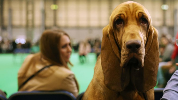 Снимка: БГНЕС/ЕРА