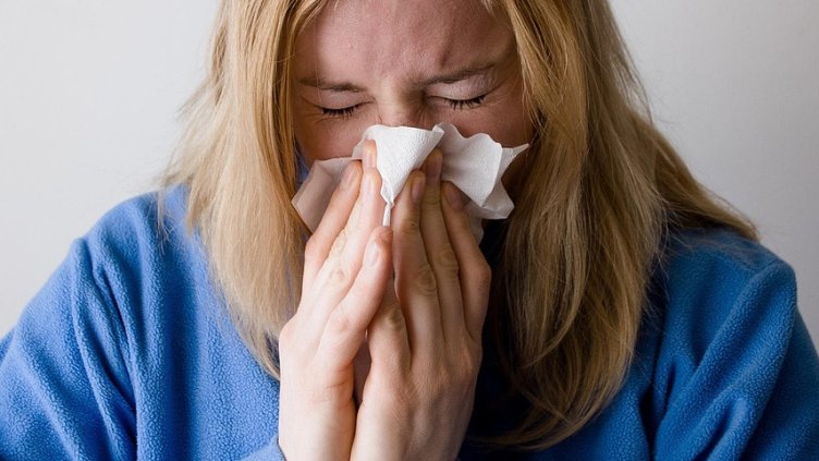 Снимка: Pixabay/Mojpe