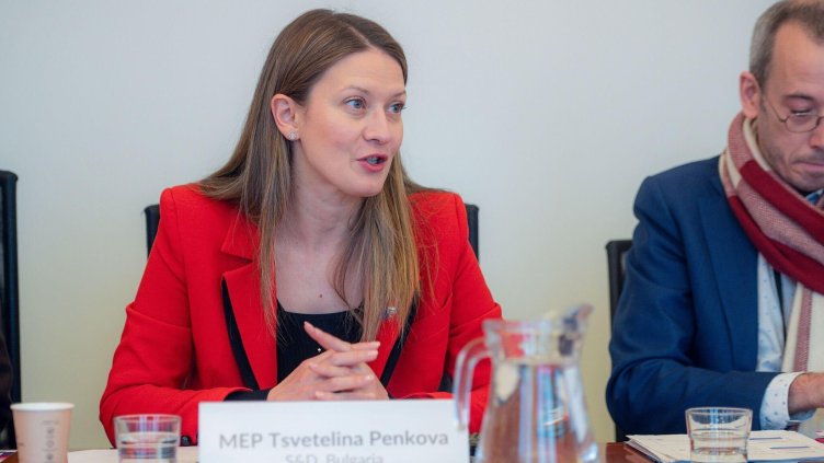 Снимка: БГНЕС