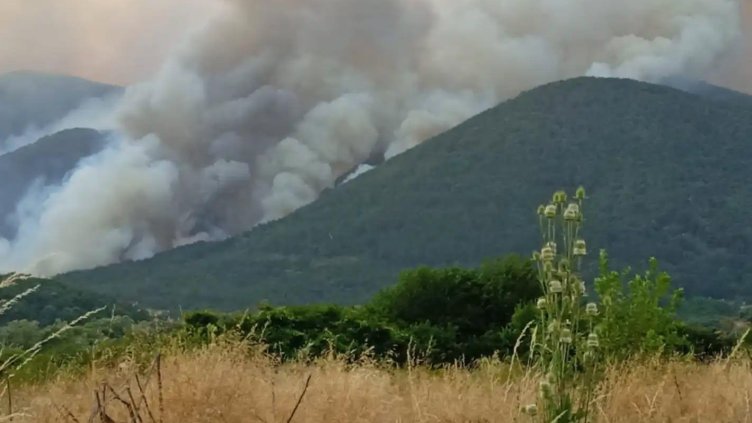 Снимка БГНЕС