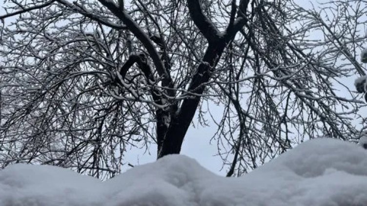 Снимка: архив, БГНЕС