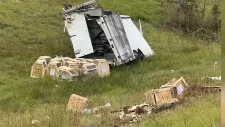 Снимка БГНЕС