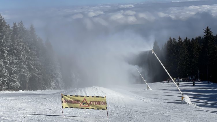 Снимка: архив, БГНЕС