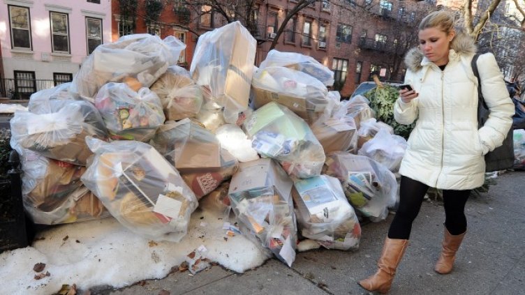 Снимка БГНЕС