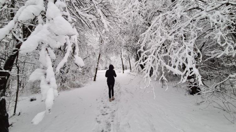 Снимка БГНЕС