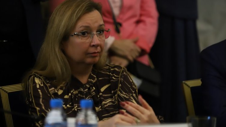 Снимка: архив, БГНЕС